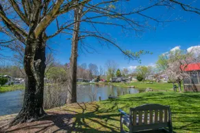 Lakeview Tiny Home with Pool & Bocce Court - Image 4