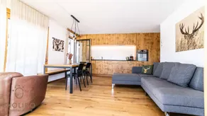 House Golmenegg, Riederalp apartment Aletschlodge - Image 5