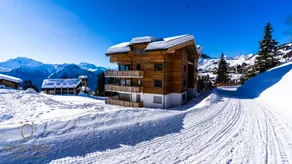 House Golmenegg, Riederalp apartment Aletschlodge - Image 3