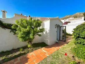 Hibiscus 69 - San Juan de Capistrano - Image 3