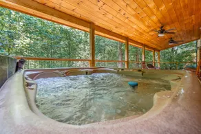 Bring your dog and Family! Heated Indoor Pool - Image 5