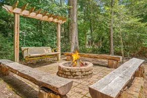 Bring your dog and Family! Heated Indoor Pool - Image 3