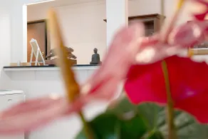 Appartement 'Ohana Bnb' avec Wi-Fi - Image 4