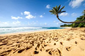Ko Olina Beachfront 2 BR | B-308 by KBM - Image 5