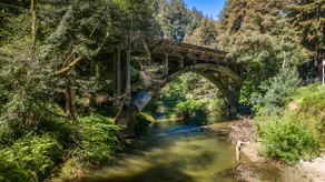 Redwood Home - view of the river! - Image 5