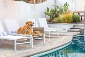 Family Retreat, Heated Pool + Spa - Image 2