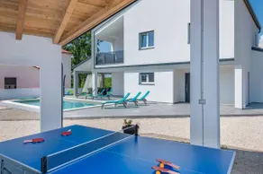 Villa Rovena, a modern and luxurious Istrian villa - Image 4