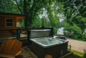Hilltop Cabin, Lake, Hot tub - Image 2
