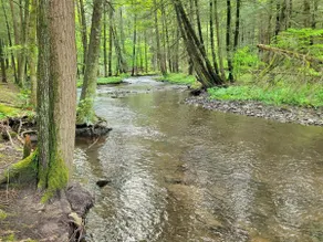 Retro Pinballs, 10 Acres with 2 Streams & Hot Tub - Image 4