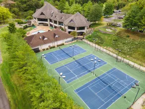 Luxury Cabin w/ hot tub, pet frdnly, cmty pool - Image 5