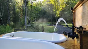 Luxury Forest Retreat: Outdoor Sauna & Plunge Tubs - Image 4