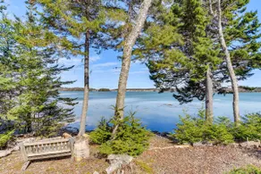 Chic Addison Home w/ Fire Pit on 8 Private Acres! - Image 3