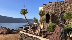 Flor de Cactus, La Graciosa - Image 3