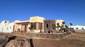 Flor de Cactus, La Graciosa - Image 2