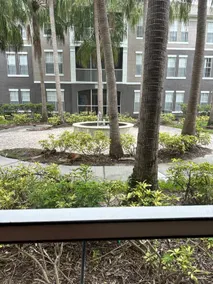 Crescent Palms - Near Brandon, Tampa, Riverview - Image 3