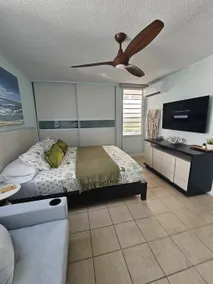 Fajardo Ocean & Marina View Luxury Penthouse - Image 2