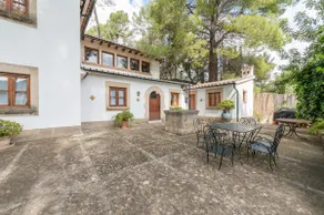 ses llebres - Image 3