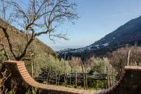 Villa Maddalena - Image 2