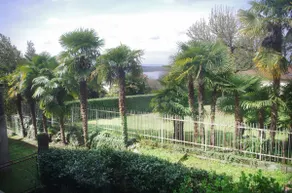 Quick Home - Magnolia - Image 3