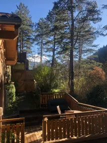 The Cabin - The Forest Apartments - Image 4