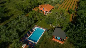 Home Lunge in nature - Image 2