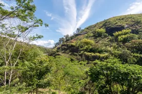 Santa Serra de Itaipava - Image 5
