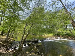 #1 tiny home on the river with hot tub and wifi - Image 2