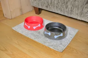 Pet Friendly | WiFi | Firepit | TV - Image 4