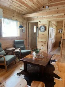 Dwelling Place - Shalom Cabin w/ private hot tub - Image 4