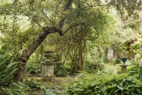 Swedish cottage & poetic garden - Image 3
