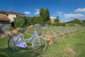 Casa Vacanze Podere San Giusto Volterra - Image 4