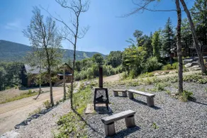 Spa and Mountain - Le Tennessee Whiskey - Image 3