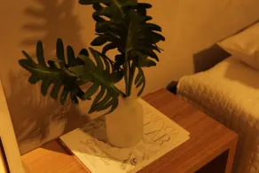 Lume Beach House  - Image 5