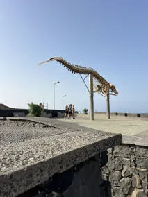 Canary Island - Image 3