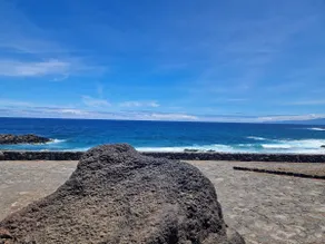 Canary Island - Image 4