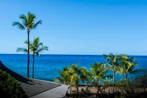 Casa De Emdeko 330 - DELUXE, Top Floor, Oceanview, AC, très spacieuse! - Image 2