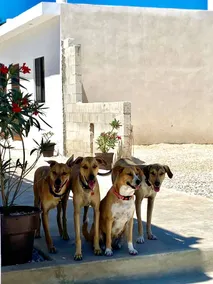 Casa Loto A - Image 3