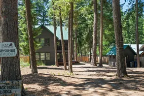Pet-friendly cabin near Plain - 3BR, Hot Tub, WiFi - Image 2
