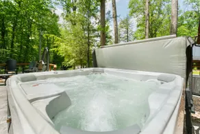 Lake Access w. Dock Slip, Hot Tub, Fire Pit, Sauna - Image 4