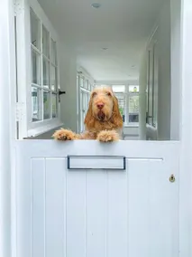 Little Buckley A peaceful family & dog-friendly retreat near Sidmouth - Image 3