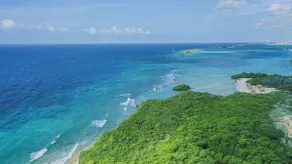 2 min Walk to Ocean - Mangel Halto Aruba - Image 5