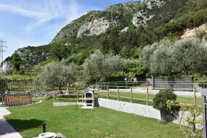 Villa Tessari - Image 3