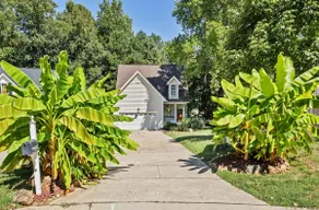 Fenced yard close to downtown Wake Forest and 20 min to Raleigh - Image 5