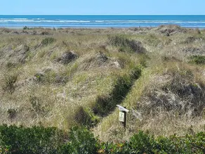 Hazels Place- 2 Bed Home Ocean View - Image 4