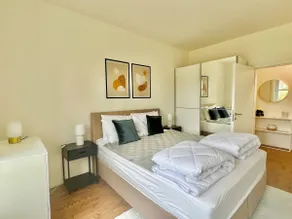 Luxurious Renovated Apartment in Basel - Image 4