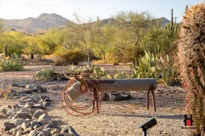 Backyard Near Buffalo Chip Saloon & Mountain Views - Image 5