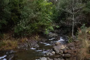 Fernvale Cottage - An Enchanting Mountainside Oasis - Image 5