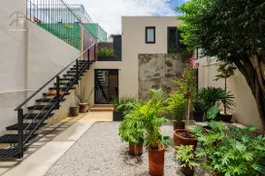 Beautiful and Simple Suite in the Center of Polanco! - Image 4