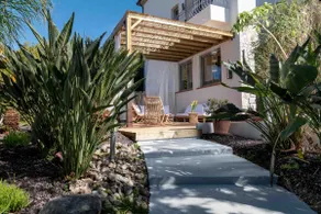 La Jungle Suite - Image 4