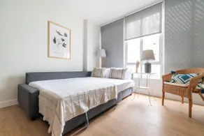 Sol Color Suites - Image 3